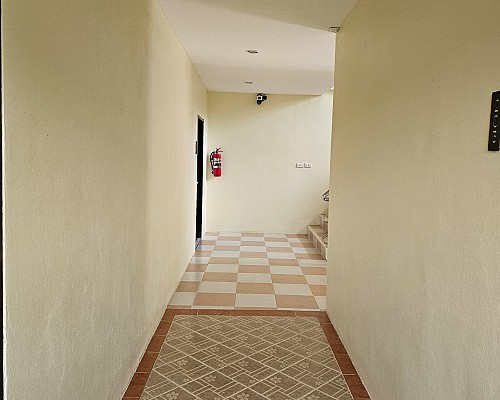 Overview